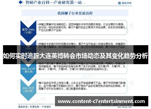 如何实时追踪大连英博转会市场动态及其变化趋势分析