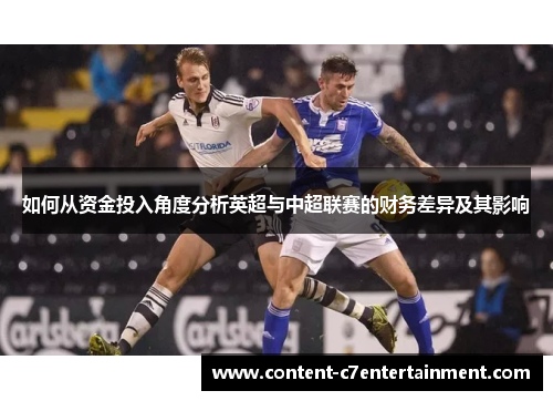 如何从资金投入角度分析英超与中超联赛的财务差异及其影响