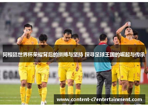 阿根廷世界杯荣耀背后的拼搏与坚持 探寻足球王国的崛起与传承