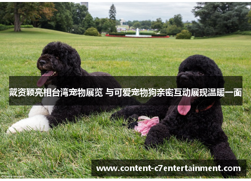 戴资颖亮相台湾宠物展览 与可爱宠物狗亲密互动展现温暖一面 戴资颖亮相台湾宠物展览 与可爱宠物狗亲密互动展现温暖一面