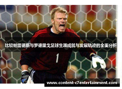 比较帕雷德斯与罗德里戈足球生涯成就与发展轨迹的全面分析