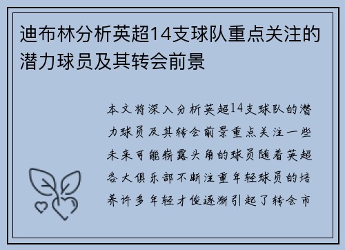 迪布林分析英超14支球队重点关注的潜力球员及其转会前景