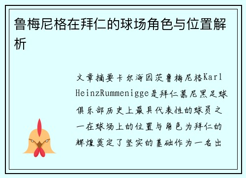 鲁梅尼格在拜仁的球场角色与位置解析